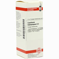 Causticum Hahnemanni D2 Dilution 20 ml