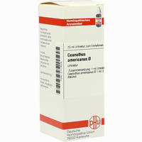 Ceanothus Amer Urtinktur Dilution 20 ml - ab 10,78 €