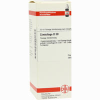 Cimicifuga D30 Dilution Dhu-arzneimittel 20 ml - ab 6,96 €