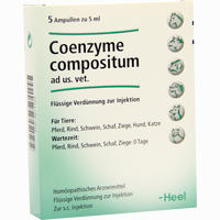 Coenzyme Comp Ad Us Vet Ampullen 5 x 5 ml - ab 12,17 €