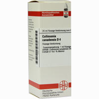 Collinsonia Canadens D4 Dilution 20 ml 