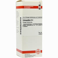 Colocynthis D4 Dilution 20 ml - ab 6,77 €