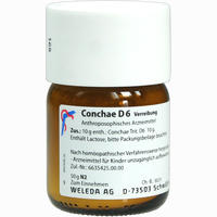 Conchae D6 Trituration 50 g