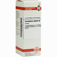 Coriandrum Sativum Urt=d 1 Dilution 20 ml