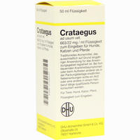 Crataegus Ad Usum Vet Dilution 50 ml - ab 8,06 €