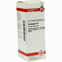 Crataegus D4 Dilution DHU-Arzneimittel GmbH & Co. KG 20 ml