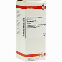 Crataegus Urtinktur Dilution 20 ml - ab 7,98 €