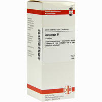 Crataegus Urtinktur Dilution 50 ml
