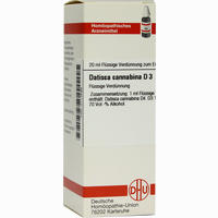 Datisca Cannabina D3 Dilution 20 ml