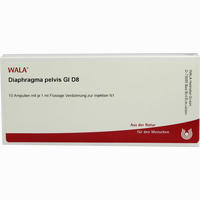 Diaphragma Pelvis Gl D8 Ampullen 10 x 1 ml