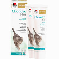 Doppelherz für Tiere Chondro Plus Paste Katze 2 x 100 g