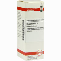 Dulcamara D6 Dilution 20 ml - ab 7,49 €