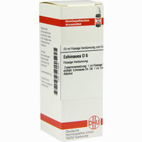Echinacea D6 Dilution 20 ml - ab 6,61 €