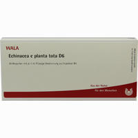 Echinacea E Pl Tota D6 Ampullen 10 x 1 ml