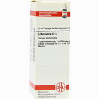 Echinacea (hab) D 1 Dilution 20 ml - ab 6,53 €