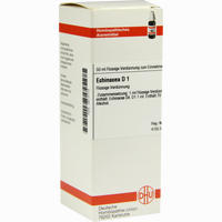 Echinacea (hab) D 1 Dilution 50 ml