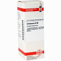 Echinacea (hab) D30 Dilution 20 ml - ab 8,30 €