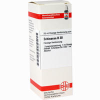 Echinacea (hab) D30 Dilution 20 ml