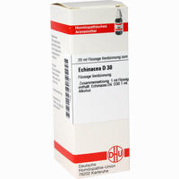 Echinacea (hab) D30 Dilution 20 ml - ab 11,20 €