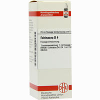 Echinacea (hab) D4 Dilution 20 ml - ab 5,81 €