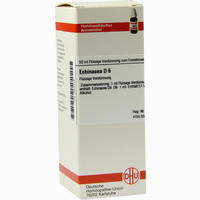Echinacea (hab) D6 Dilution 50 ml
