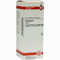 Echinacea (hab) Urtinktur Dilution 50 ml