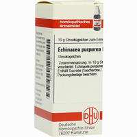 Echinacea Purpurea D12 Globuli DHU-Arzneimittel GmbH & Co. KG 10 g