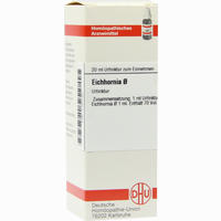 Eichhornia Urtinktur Dilution 20 ml