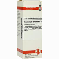 Equisetum Arv D12 Dilution 20 ml