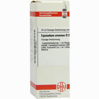 Equisetum Arv D2 Dilution 20 ml