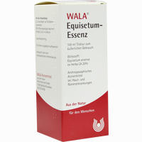 Equisetum- Essenz 100 ml