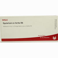 Equisetum Ex Herba D6 Ampullen 10 x 1 ml