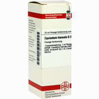 Equisetum Hiemale D2 Dilution 20 ml