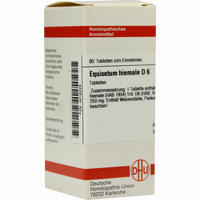 Equisetum Hiemale D6 Tabletten 80 Stück - ab 9,03 €