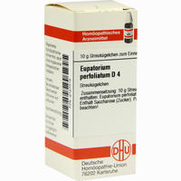 Eupatorium Perf D4 Globuli 10 g