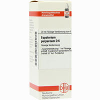 Eupatorium Purpur D6 Dilution 20 ml