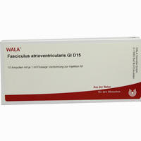 Fasciculus Atrioven Gl D15 Ampullen 10 x 1 ml