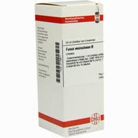 Fucus Vesicul Urtinktur D 1 Dilution 20 ml - ab 10,78 €