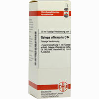 Galega Offic D6 Dilution 20 ml