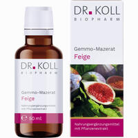 Gemmo- Mazerat Feige Dr. Koll Ficus Carica 50 ml