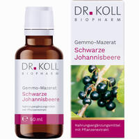 Gemmo- Mazerat Schwarze Johannisbeere Dr. Koll Ribes 50 ml