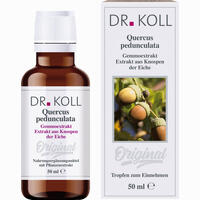 Gemmoextrakt Eiche Tropfen 50 ml 