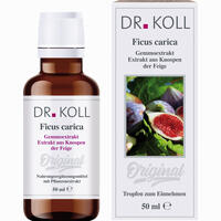 Gemmoextrakt Feige Tropfen 50 ml
