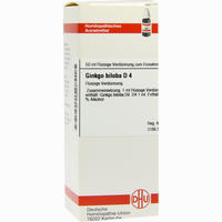 Ginkgo Biloba D4 Dilution 50 ml