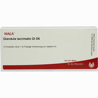 Glandula Lacrimalis Gl D6 Ampullen 10 x 1 ml