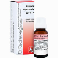 Glandula Suprarenalis Suis D12 Globuli 10 g