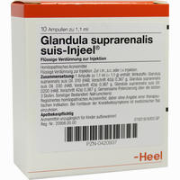 Glandula Suprarenalis Suis- Injeel Ampullen  10 Stück - ab 19,12 €