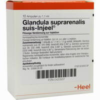 Glandula Suprarenalis Suis- Injeel Ampullen  10 Stück - ab 21,79 €