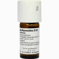 Glandula Thyreoidea D30 Dilution 20 ml