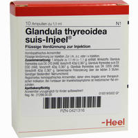 Glandula Thyreoidea Suis- Injeel Ampullen 10 Stück - ab 21,43 €